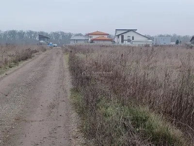 Vanzare Teren Corbeanca- Balotesti Strada Trei Lacuri - foto 6