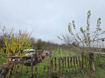 Teren Branesti - Str Oltului - 1600 mp - deschidere 16 ml - foto 2