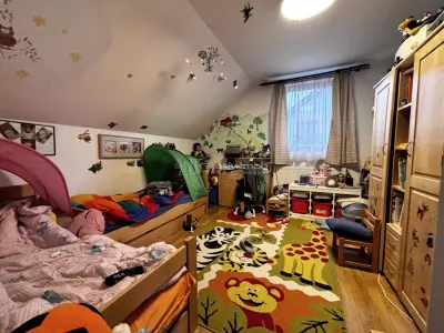 Casa cu grădina - Cartierul Nou - foto 10