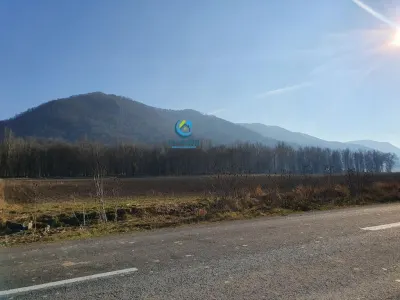 Vanzare Teren intravilan Str. Cucului, zona Bartolomeu 18600 mp - foto 5