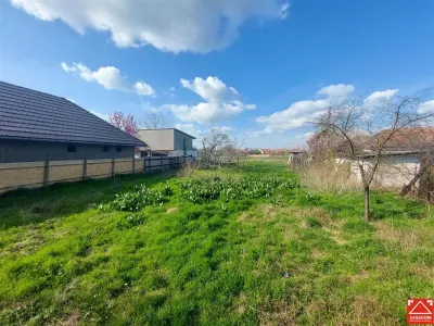 Casa cu teren de 3.500 mp in Santana! Ideal pentru proiect rezidential! - foto 15