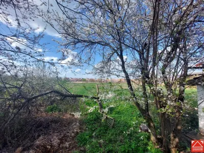 Casa cu teren de 3.500 mp in Santana! Ideal pentru proiect rezidential! - foto 17