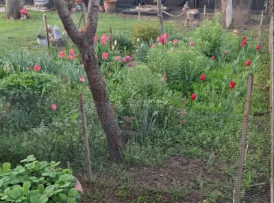 Casa, cocheta, situata pe o strada linistita, la 10 km de Ploiesti - foto 9