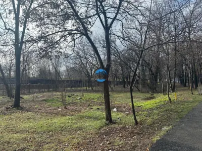 Teren intravilan zona sud Ploiesti - Ploiesti