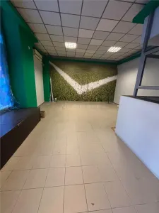 Spatiu comercial 160mp  Str Domneasca Centru - foto 5