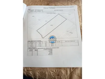 Padure de vanzare zona Comuna Draganesti sat Hatcarau - foto 5