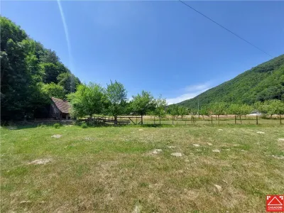 OPORTUNITATE!!! Casa la munte, zona Remeti, drumul Apusenilor! 2 case disponibile!!! - foto 24