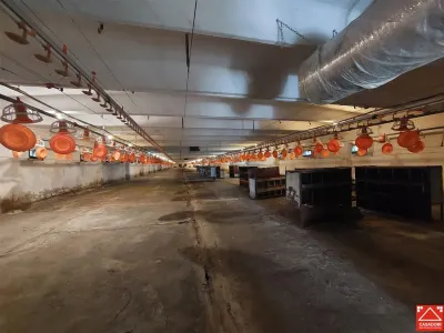 Hale de inchiriat cu acces din centura - foto 6
