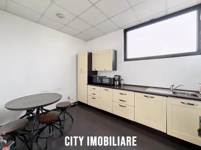 Spatiu birouri 205 mp + terasa 69 mp, Str. Dorobantilor, 2 parcari - foto 4