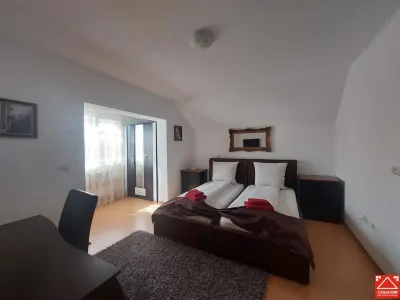 Casa cu 10 camere pentru pensiune sau locuit - foto 13