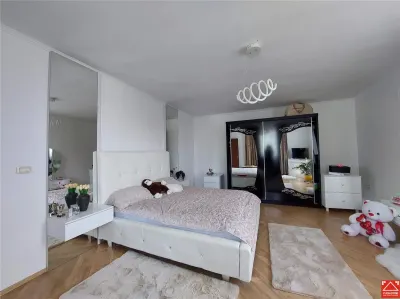 Casa mare pentru 2 familii sau pentru afacere - foto 11