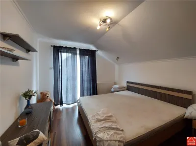 Casa mare pentru 2 familii sau pentru afacere - foto 16