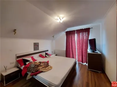 Casa mare pentru 2 familii sau pentru afacere - foto 18