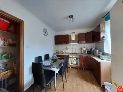 Casa mare pentru 2 familii sau pentru afacere - foto 22