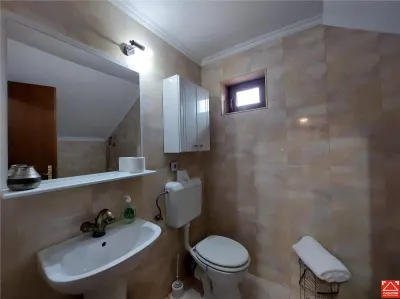 Casa mare pentru 2 familii sau pentru afacere - foto 25