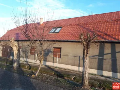 Casa P+M cu anexe in Vladimirescu - Vladimirescu