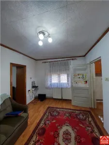 Casa P+M cu anexe in Vladimirescu - foto 12