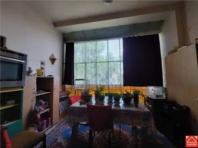 OCAZIE! Apartament spatios, singur pe nivel, zona Metianu! - foto 11