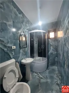 Apartament cu curte privata, zona Bou Rosu, pentru locuit sau afacere - foto 6