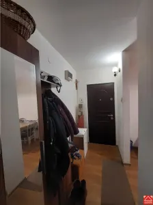 PRET REDUS! Apartament 2 camere, parter, langa Parcul 23 August Micalaca - foto 12