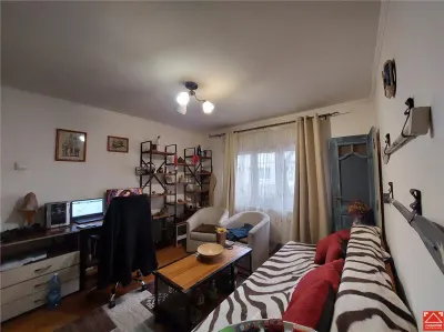PRET REDUS! Apartament 2 camere, parter, langa Parcul 23 August Micalaca - foto 3