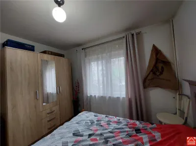 PRET REDUS! Apartament 2 camere, parter, langa Parcul 23 August Micalaca - foto 9