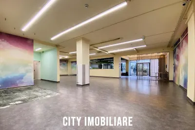 Spatiu comercial 250 mp + terasa 50 mp, Grigorescu, Parter, Ideal HoReCa / Showroom - foto 13
