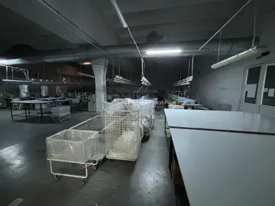 Complex industrial 30130  mp construit - Teren 42558 mp - foto 6