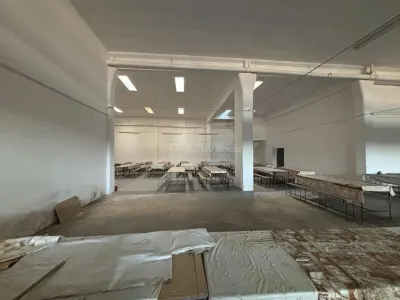 Complex industrial 30130  mp construit - Teren 42558 mp - foto 10