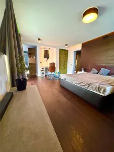 Apartament confort lux cu terasa si garaj in Europa - foto 11