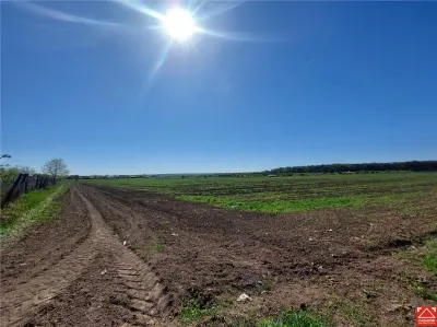 Teren pentru dezvoltare rezidentiala langa padure, in Pischia - foto 2