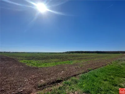 Teren pentru dezvoltare rezidentiala langa padure, in Pischia - foto 3