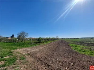 Teren pentru dezvoltare rezidentiala langa padure, in Pischia - foto 4