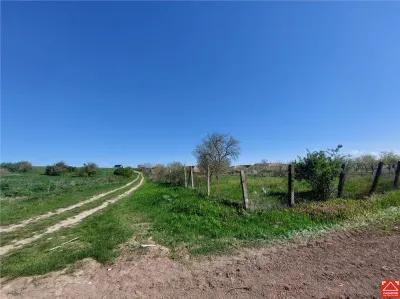 Teren pentru dezvoltare rezidentiala langa padure, in Pischia - foto 5