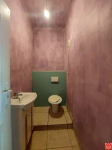SUPER OCAZIE!!! Casa spatioasa cu teren mare, pe colt, in Periam - foto 17