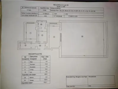 Locuinta cu 4 camere pentru un proprietar cu imaginatie - foto 22