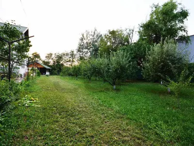 Chitila - Mogosoaia - Stradal - vav Padure - Proprietate Impunatoare - foto 2
