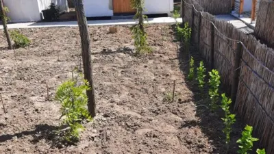 Delta Dunarii - Sulina - domeniu privat, in rezervatie naturala -3500 mp, ponton - foto 24