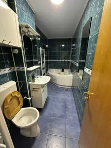 2 camere + receptie - centrala proprie - Bd. Unirii - foto 5