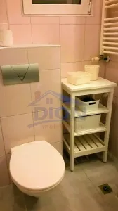 Arcul de Triumf Parcul Herastrau Radu Boiangiu  3 camere Renovat - foto 4