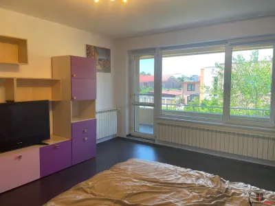 Vila individuala Pipera / Stefan cel Mare - foto 8