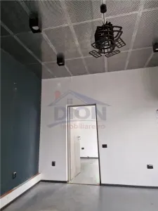Investitie, Spatiu Comercial, Calea Serban Voda - foto 7