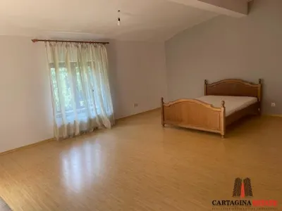Vila individuala Jolie Ville / Dragos Voda - foto 13