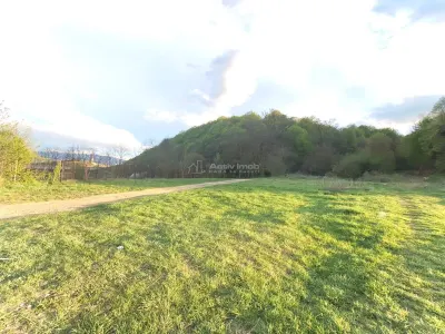 Parcele de vanzare INTRE IAZURI Talmaciu - foto 8
