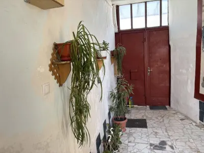 Casa central singur in curte  - 150 mp util - 411 mp curte - foto 8