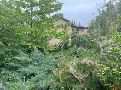 VILA INDIVIDUALA / P+1 / PIPERA / DRUMUL BISERICII / 1350MP TEREN - foto 10