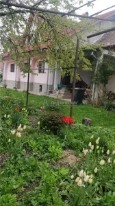 Pensiune cu teren de 5.700 mp, Runcu - Cheile Sohodolului - foto 8
