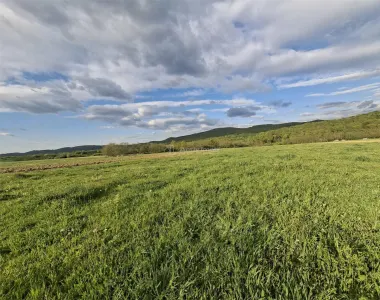 Teren de vanzare Talmaciu - foto 4