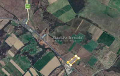 Lugoj, Teren 16.800 Mp., Cu deschidere  de 80 Ml., La Centura Ocolitoare - foto 7
