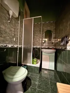Apartament 129 mp cu vedere spre Crisul Repede si demisol independent in cladire istorica - foto 11